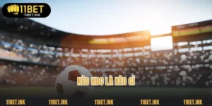 Kèo HDC Là Kèo Gì? Giải Mã Những Điều Thú Vị Cùng 11Bet